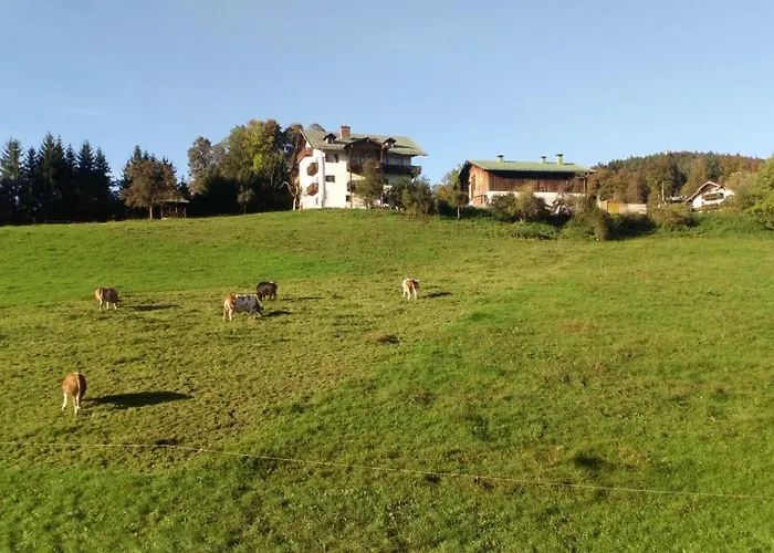 Schlafende Goass Pensionat